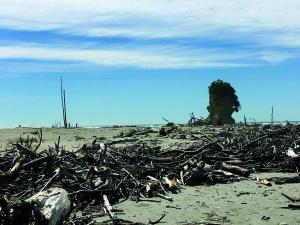 Punakaiki beach 