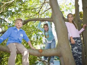 Children in a tree