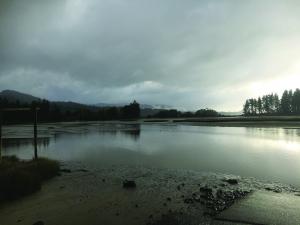 Riwaka Estuary 