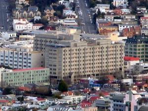 Dunedin Hospital from Signal Hill