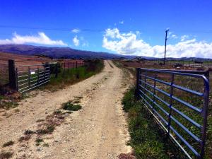 Rural gate