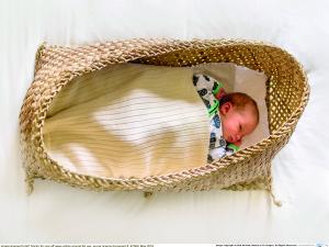 Pēpi pod, wahakura flax bassinet