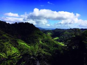 Fishers Track features a 520m decent to the Retaruke Valley