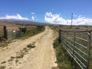 Farm, rural, Central Otago