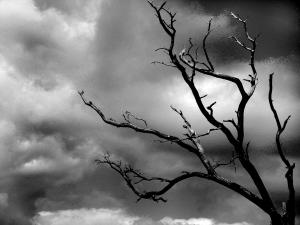 Storm, tree, sadness, depression