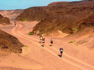 Desert running is a balancing act between staying hydrated and retaining essential minerals