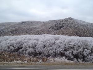 Central Otago