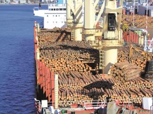 Alternative agents to fumigate logs come with their own hazards