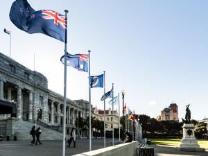 Flags at Parliament