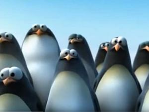 penguins