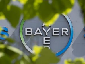 Bayer