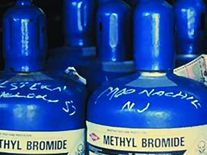 Methyl Bromide