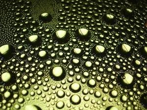 condensation, water drops