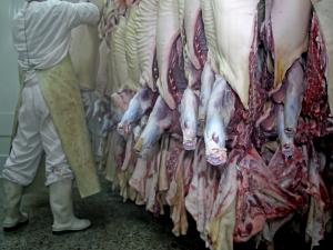 Cold Storage in the Slaughterhouse