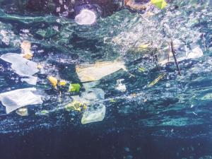 plastic in ocean