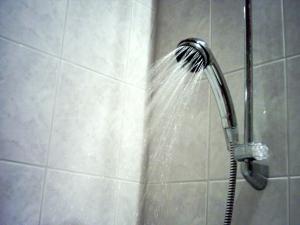 shower head