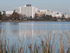 WAIKATO HOSPITAL ACROSS LAKE