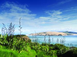 Hokianga