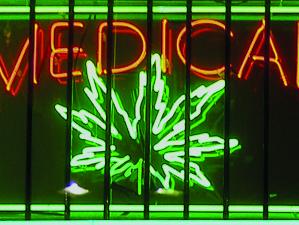 Medical Marijuana 