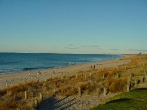 Papamoa Beach, New Zealand, by Stephen Morris, 2007 [Wikicommons)