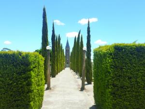 Langmeil Church in the Barossa 