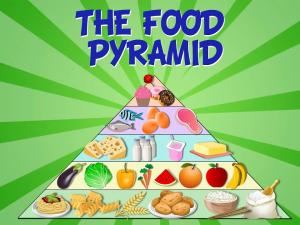 Food pyramid