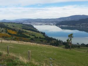 Dunedin