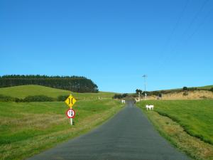 One-way bridge, New Zealand please credit Jenny Rollo