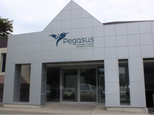 Pegasus Building