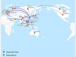 WHO map covid19 export 12 feb 2020