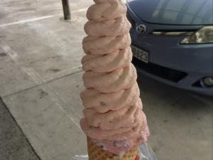 Real fruit ice cream 