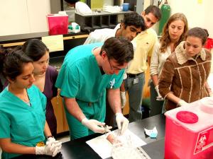 Medical students learning suturing