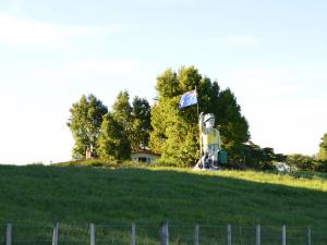 near Te Kuiti