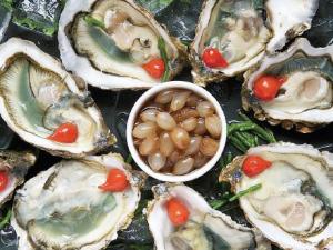 Oysters