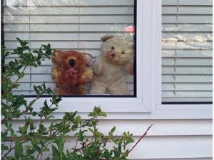 Bears in the window