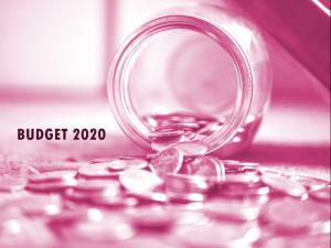 Budget 2020 UNDOC_pink