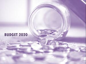 Budget 2020 UNDOC_purple