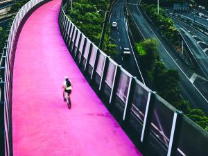 Auckland Cycle bridge, Auckland city