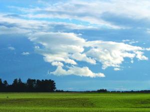 Flat, rural land