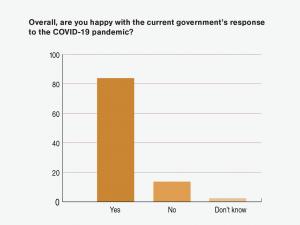 Survey response 1, Government COVID pandemic