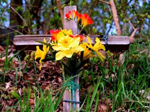 Commemoration, flowers, grave