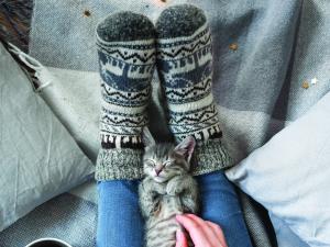 Woolly socks, winter warmers, cat, warmth