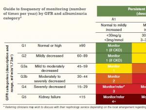 Guide to frequency of monitoring by GFR and albuminuria_From the lab