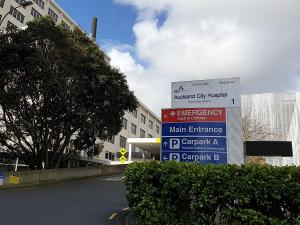 Auckland City Hospital