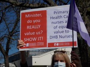 Rally Protest Nurse Strike Health Minister pay parity 3 Sept