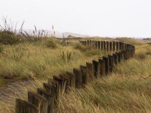 Kāpiti Coast fenceline