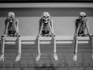 Skeletons, Danielle Macinnes on Unsplash