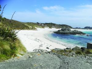 Chatham Islands - Swimming without the great white sharks