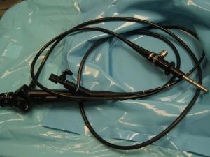 flexible cystoscope