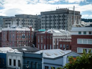 Dunedin Hospital